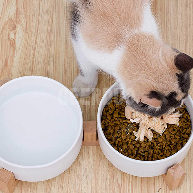 Luxury Eco Friendly Ceramic Elevated Pet Double Feeding Bowl GRDFB-3