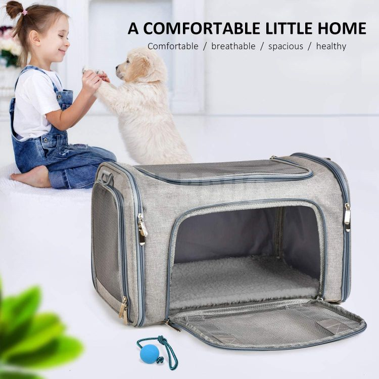 Airline Approved Collapsible Pet Carrier Bags for Puppies of 15 Lbs GRDBC-1