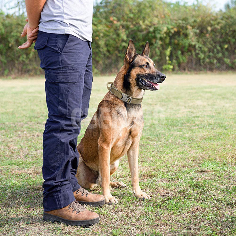 Tactical Dog Collar and Leash Set, Heavy Duty Military Double Handle Bungee Leash GRDHC-16