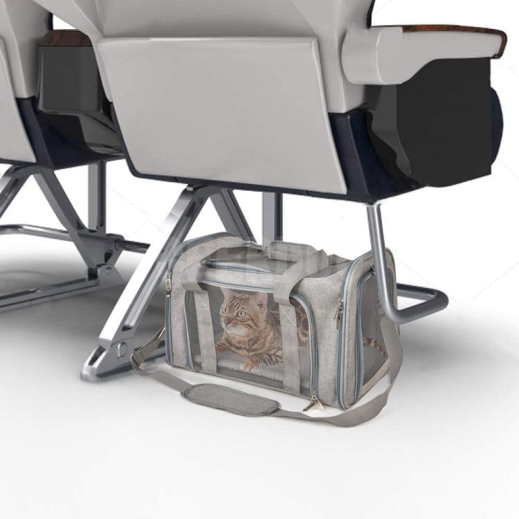 Airline Approved Collapsible Pet Carrier Bags for Puppies GRDBC-1