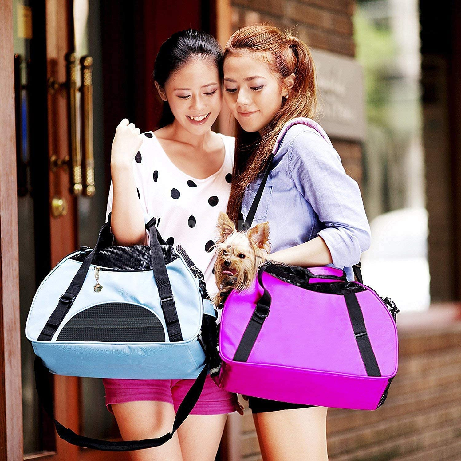 Soft-Sided Pet Travel Carrier for Cats GRDBC-2