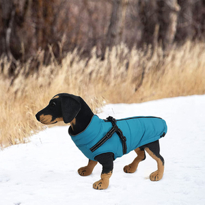 Warm Coat Waterproof Dog Winter Jacket with Harness Traction Belt , GRDAC-3