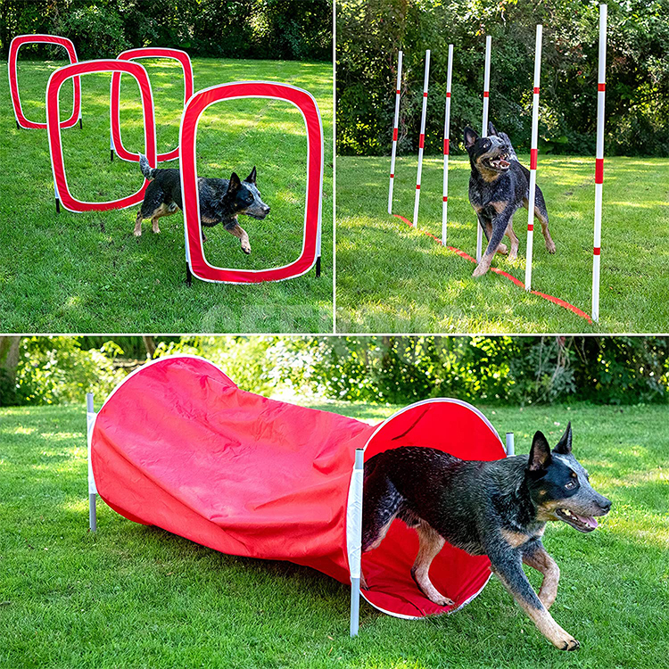 Dog Outdoor Training Tunnel GRDOP-10